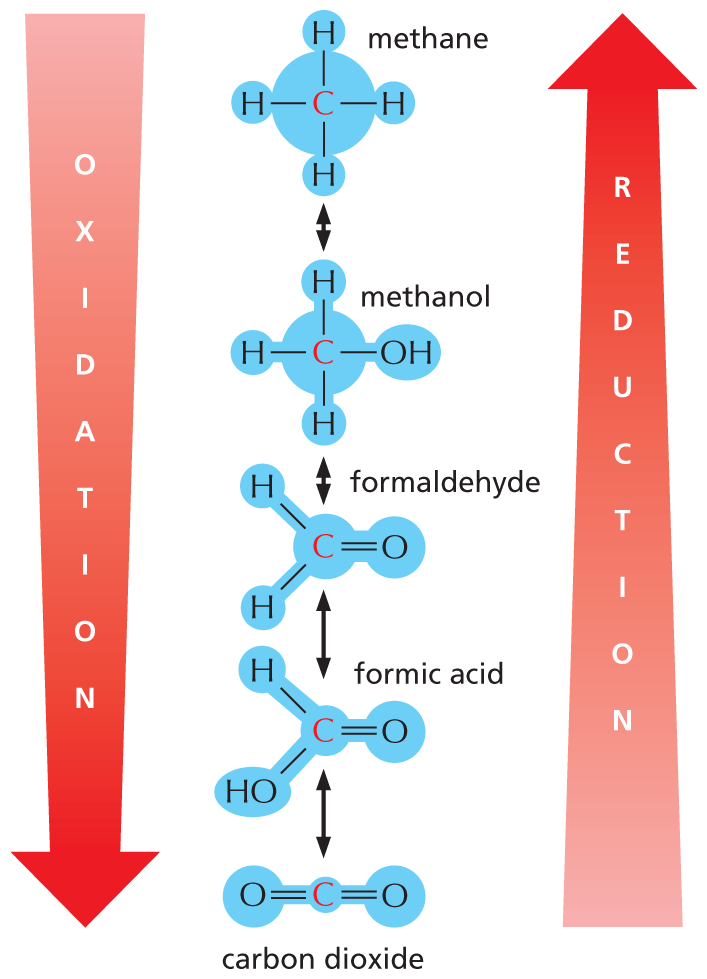 An illustration shows the oxidation of methane to form carbon dioxide and the reduction of carbon dioxide to form methane.