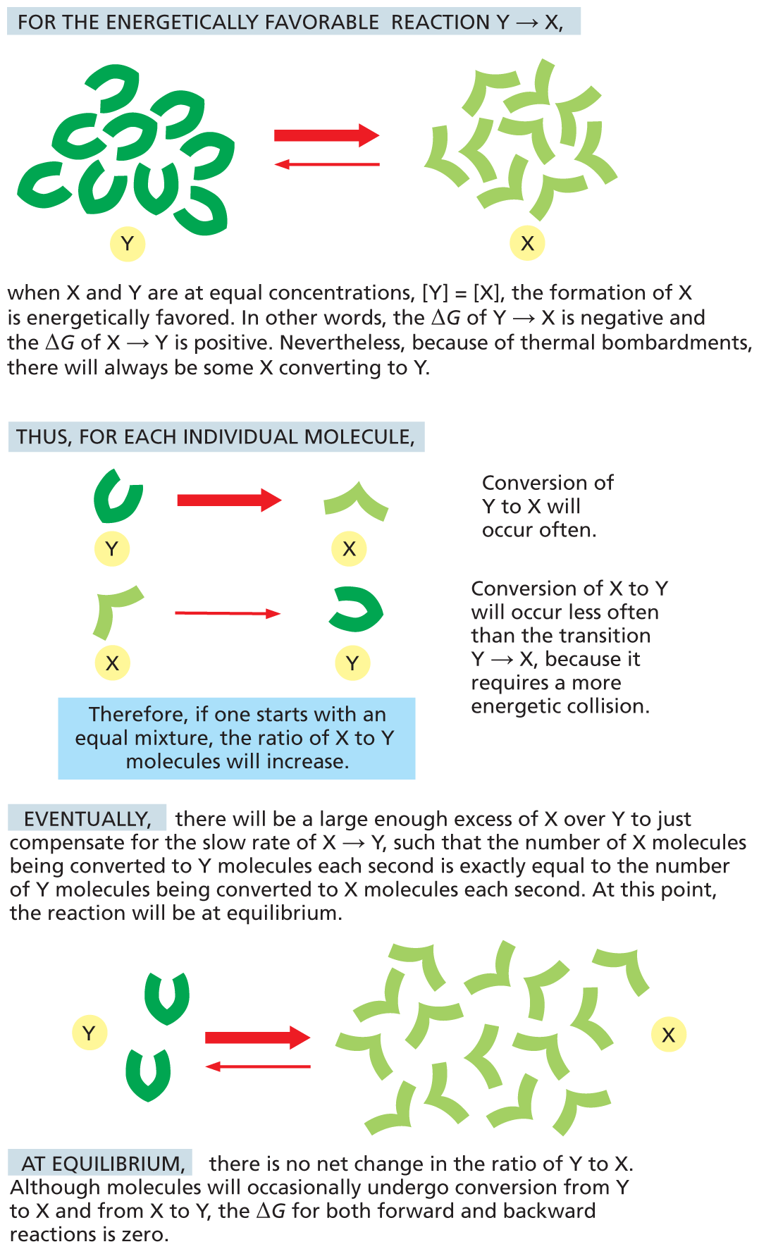 An illustration shows how reactions reach chemical equilibrium.