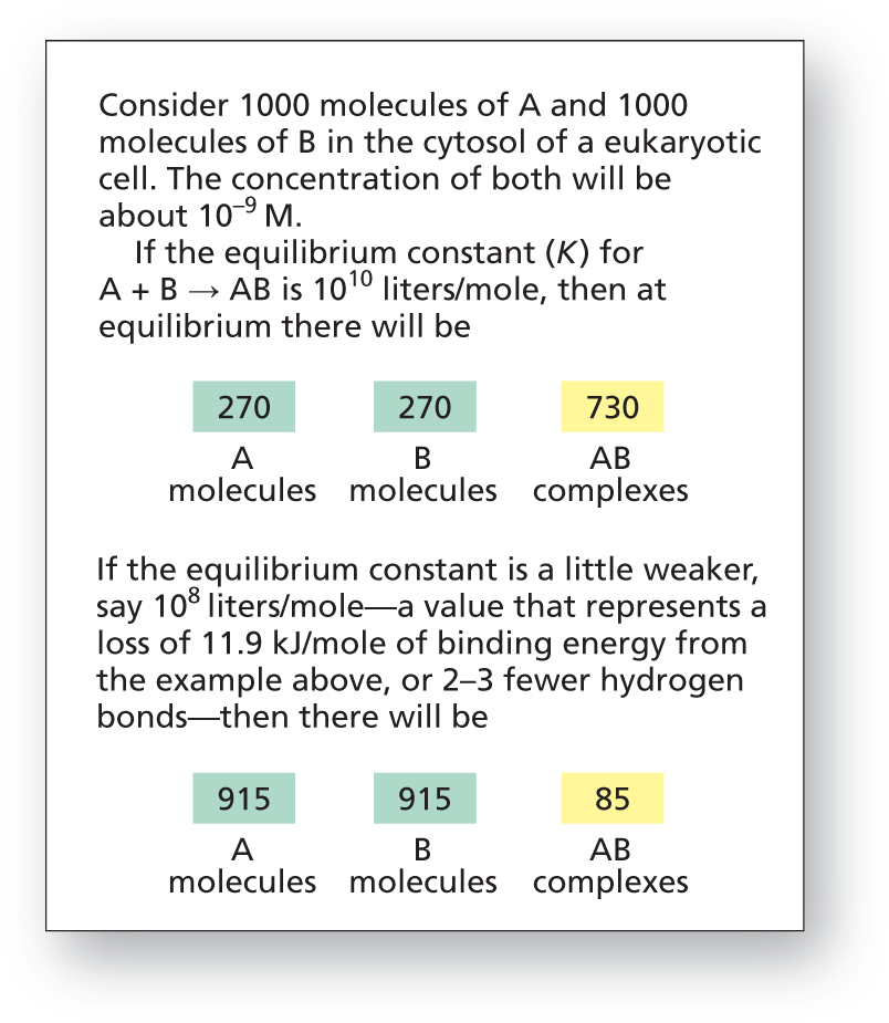 An example of the presence and absence of cytosolic proteins in weak noncovalent bonds.