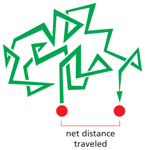 An illustration shows the random walk of a molecule.