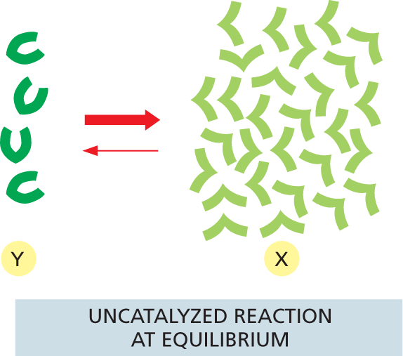 An illustration shows an uncatalyzed reaction at equilibrium.