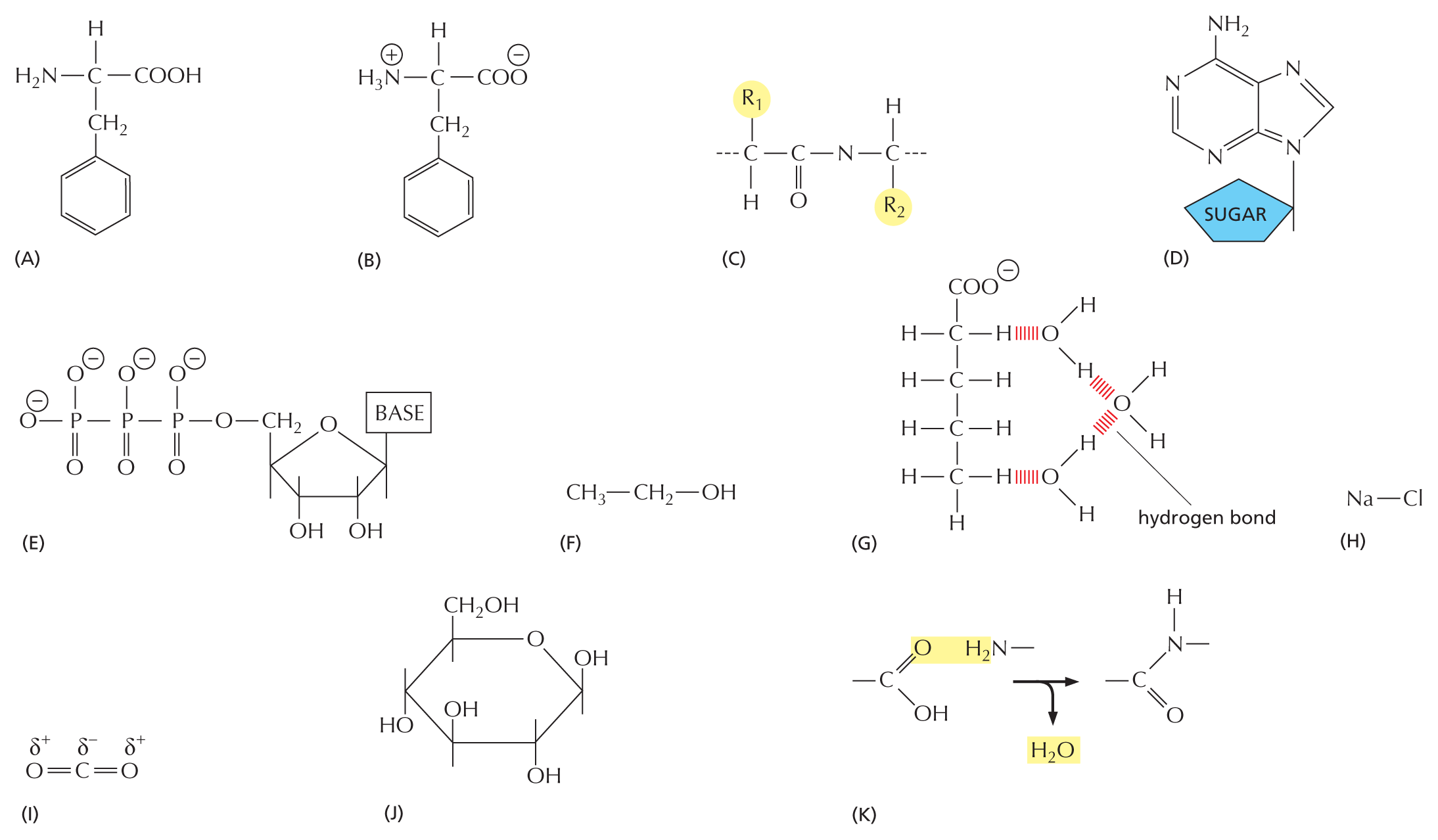 Eleven chemical structures are shown labeled from A to K.