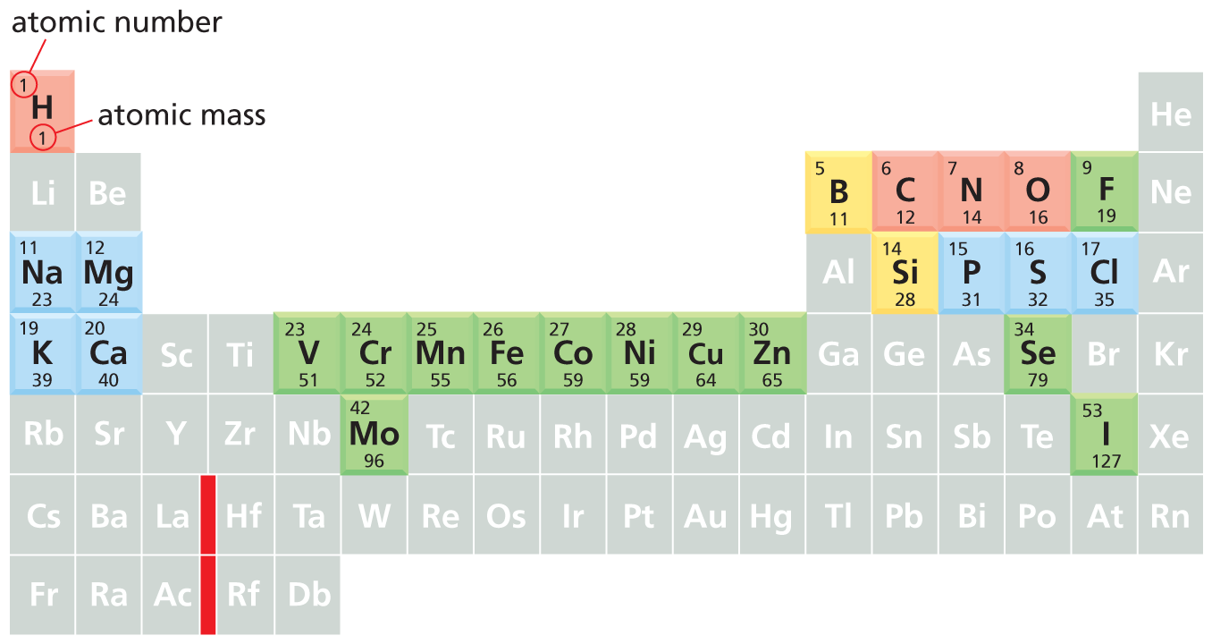 An illustration shows a periodic table where elements that have similar properties are highlighted.