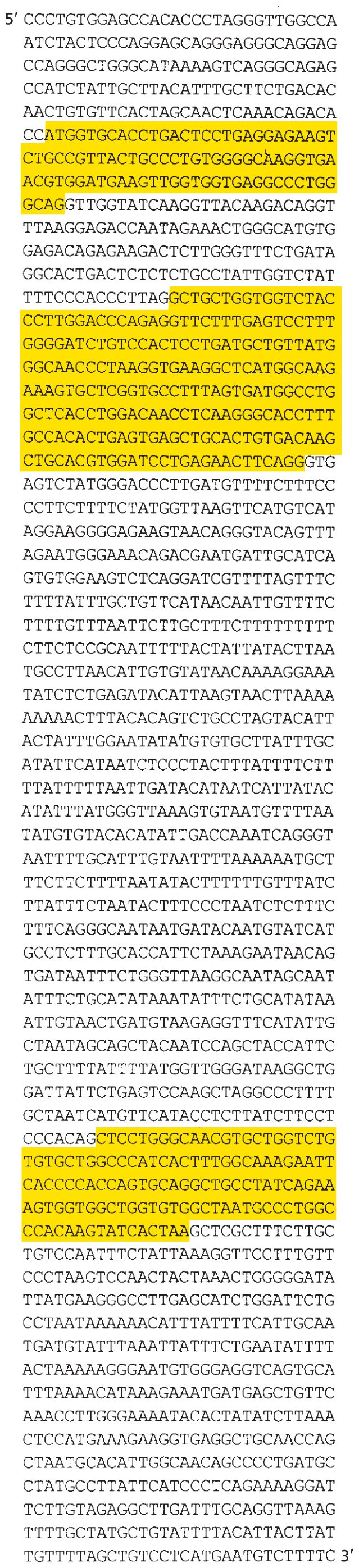 A D N A sequence shows three genes interspersed in large noncoding regions.