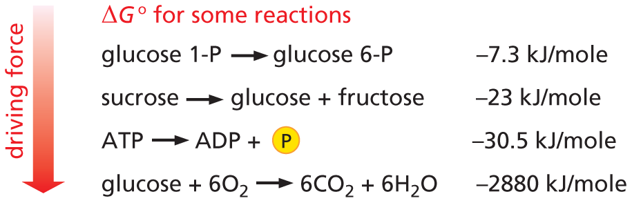 Panel titled predicting reactions.