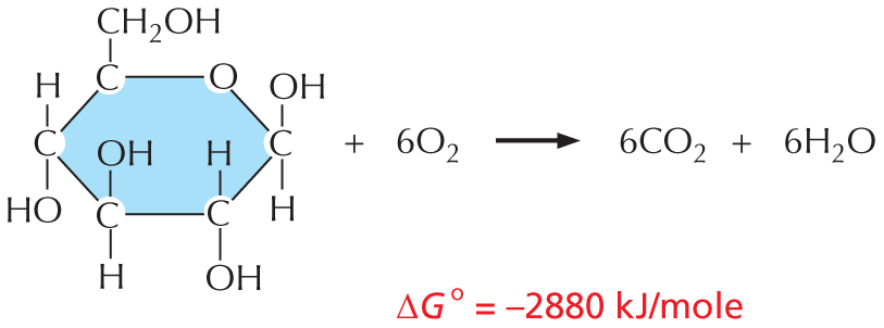 Panel titled reaction rates.