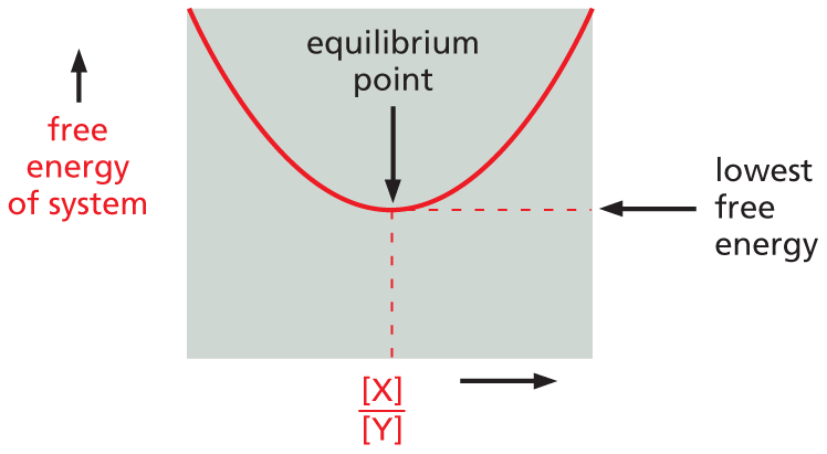 Panel titled delta G equals zero at chemical equilibrium.