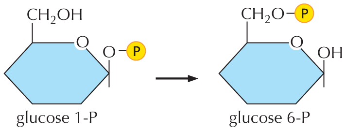 Panel titled delta G equals zero at chemical equilibrium.