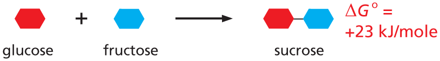 Panel titled coupled reactions.