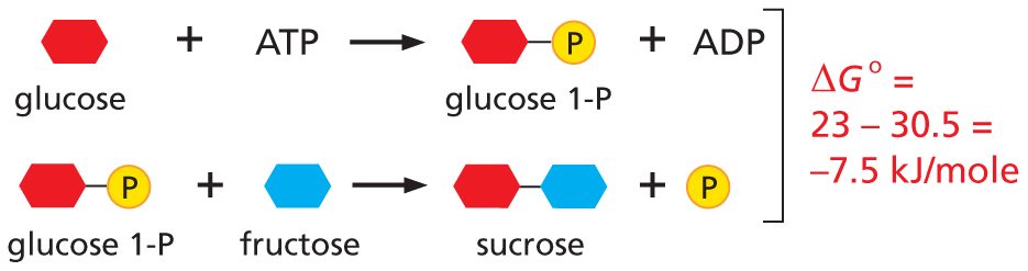 Panel titled coupled reactions.