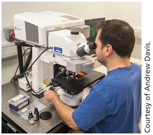 A photo shows a man using a microscope.