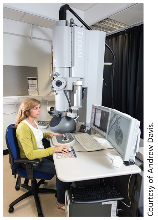 A photo shows a woman working on a computer inside a laboratory.