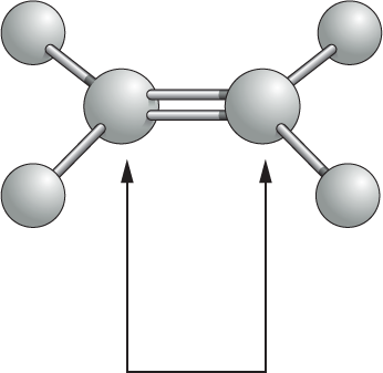 Panel 2 shows covalent bond types.