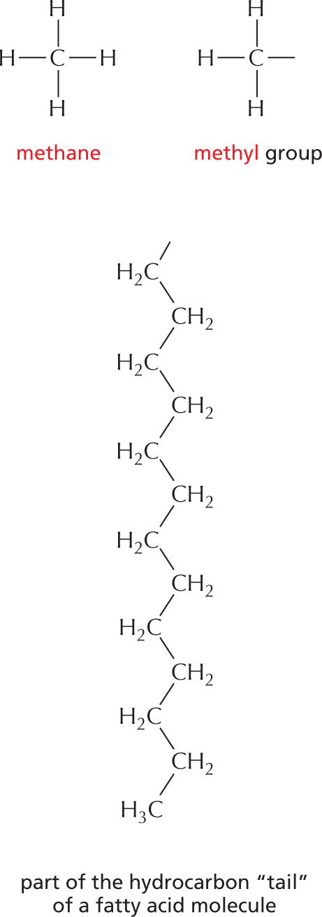 Panel 4 shows hydrocarbons.