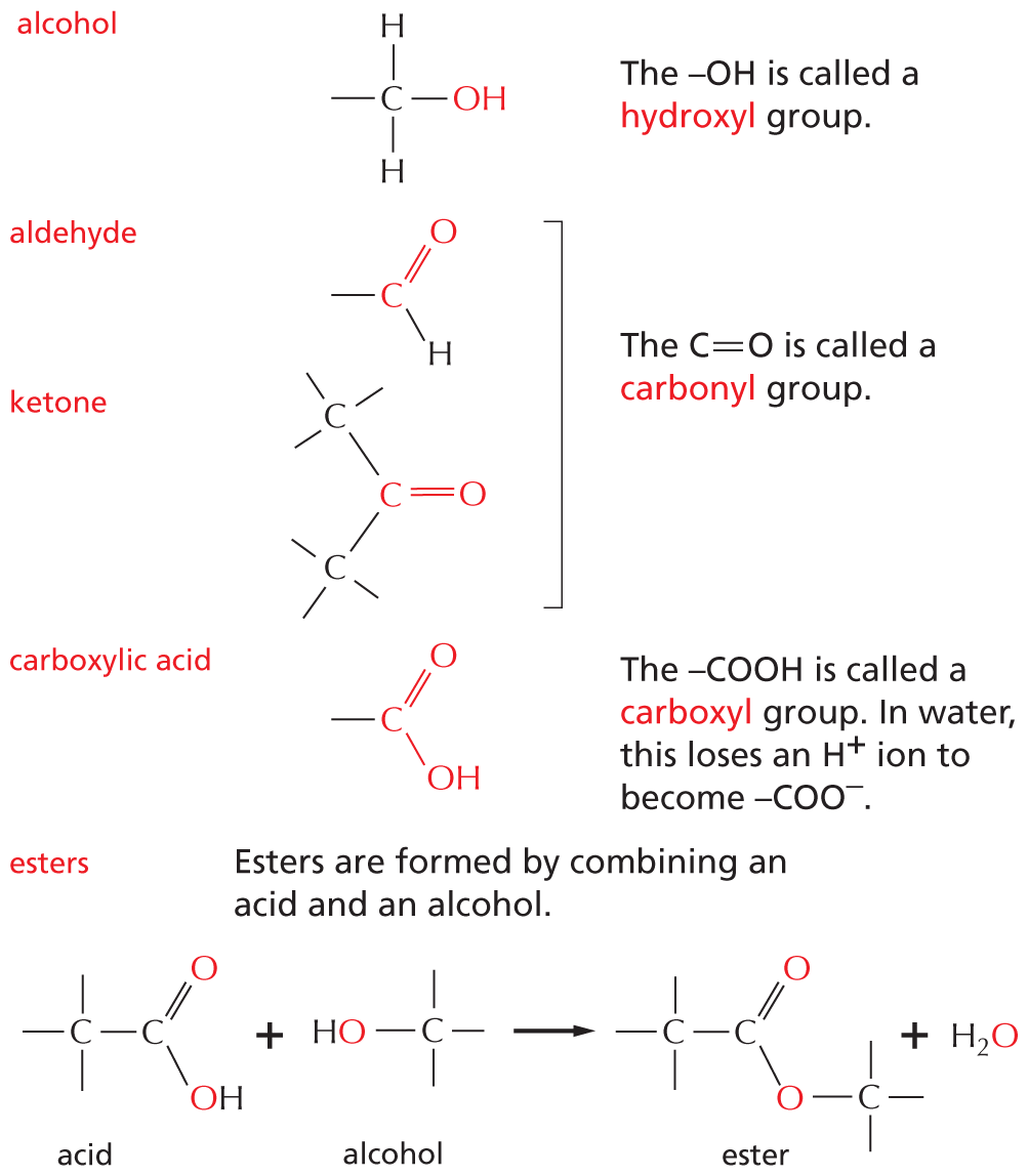 Panel 5 shows compounds in which carbon is covalently bound to an oxygen.