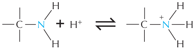 Panel 6 shows amines and amides.