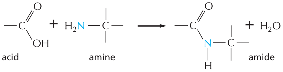 Panel 6 shows amines and amides.