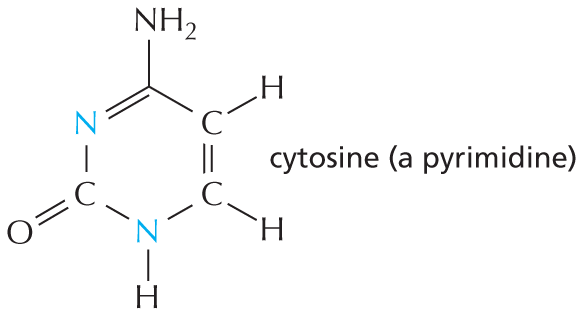 Panel 6 shows amines and amides.