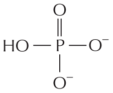 Panel 8 shows phosphates