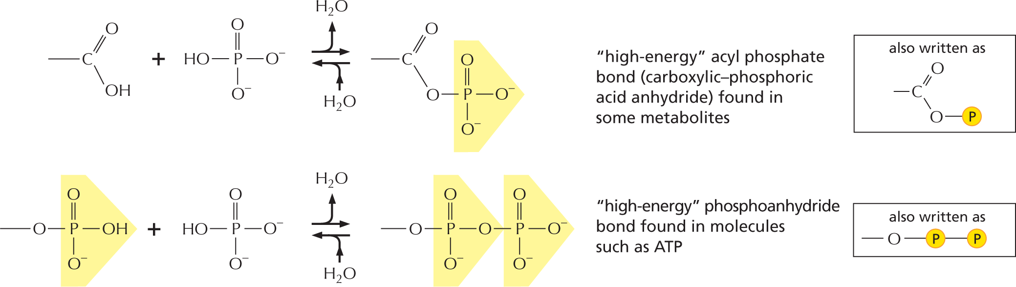 Panel 8 shows phosphates