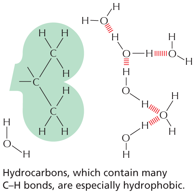 Panel 5 describes hydrophobic molecules.