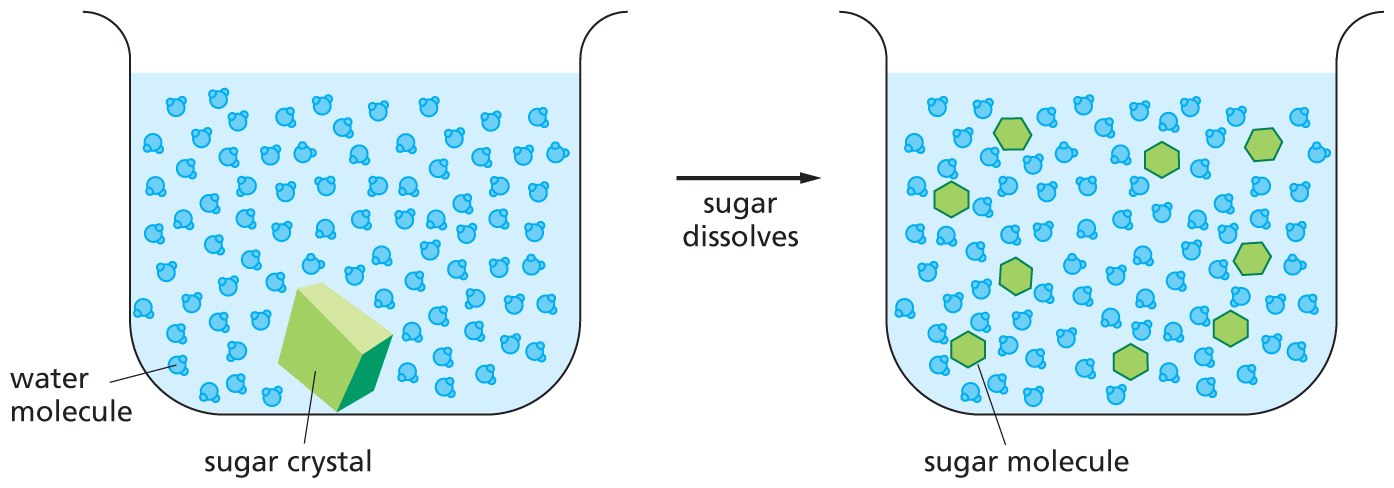 Panel 6 discusses water as a solvent.