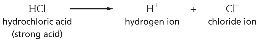 Panel 7 describes acids.