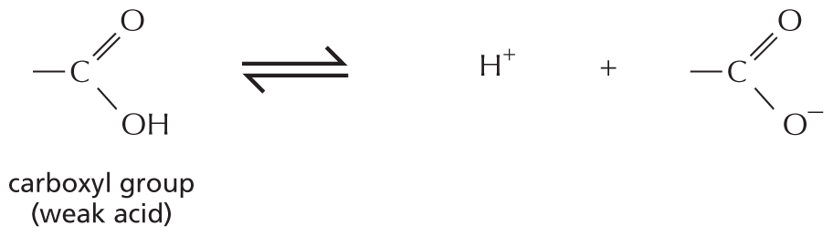 Panel 7 describes acids.