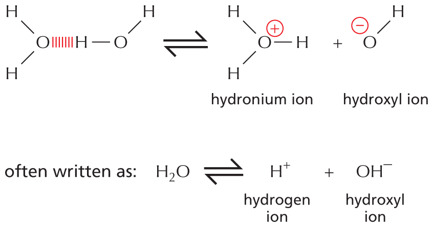 Panel 8 describes hydrogen ion exchange.