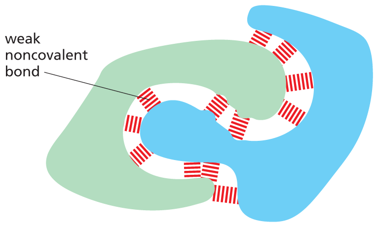 Panel 1 provides an overview of weak noncovalent chemical bonds.