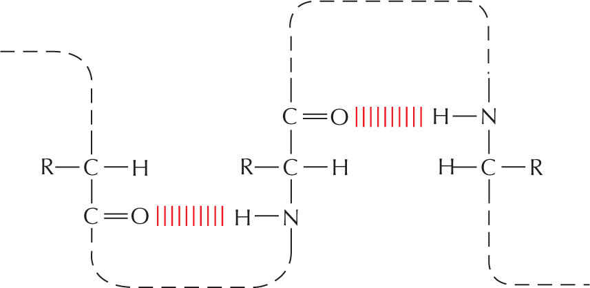 Panel 3 reviews hydrogen bonds.