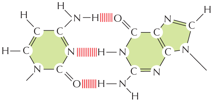 Panel 3 reviews hydrogen bonds.