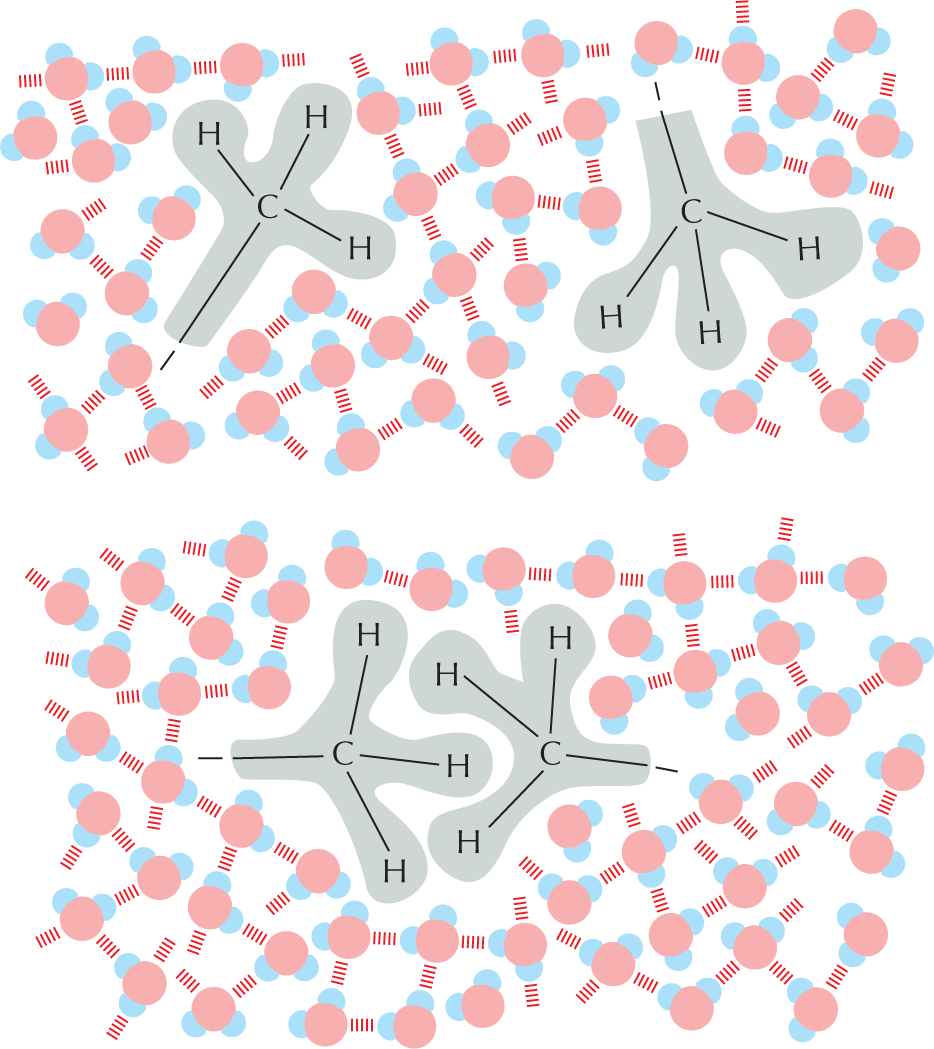 Panel 5 describes hydrophobic forces.