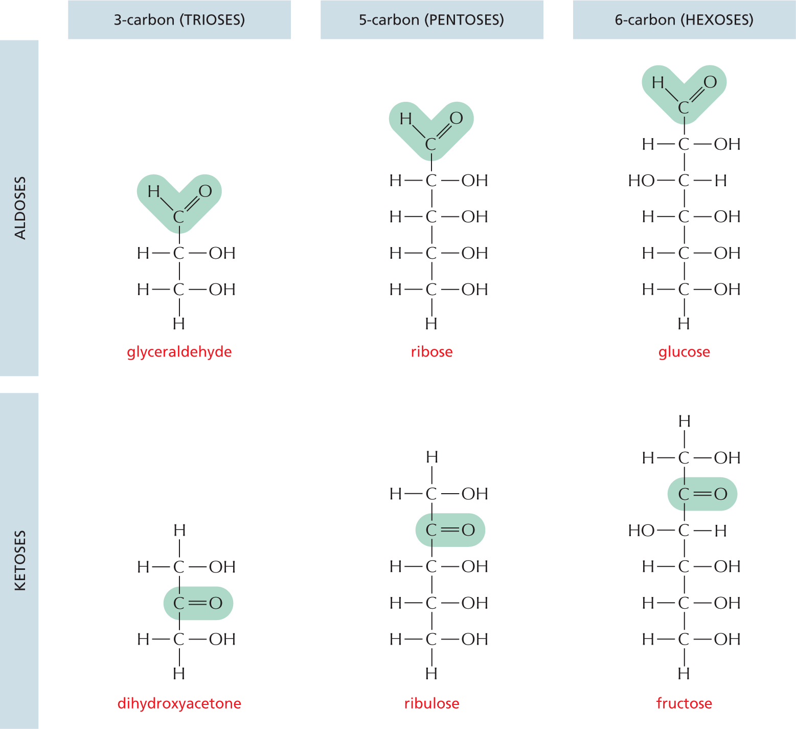 Panel 1 shows monosaccharides.