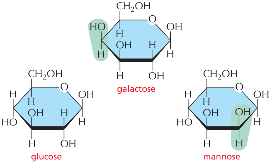 Panel 3 describes isomers.