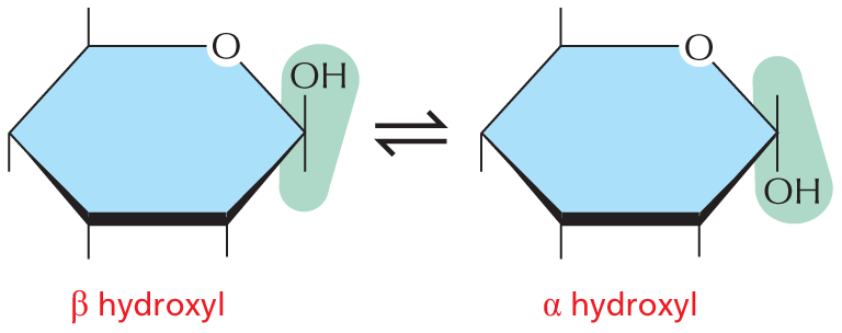 Panel 4 describes alpha and beta links.