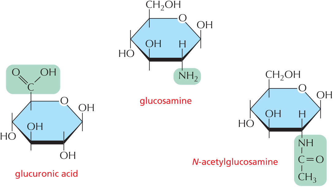 Panel 5 shows sugar derivatives.