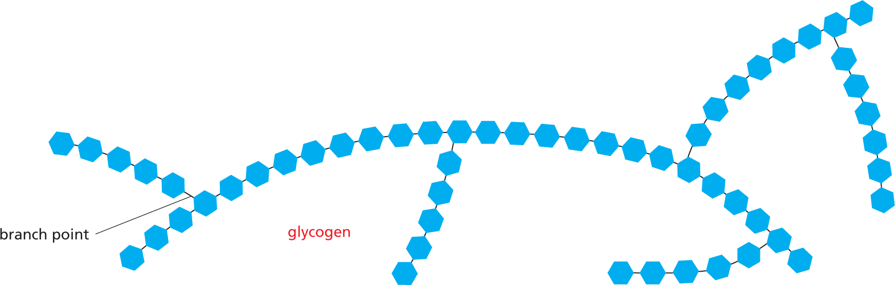 Panel 7 shows oligosaccharides and polysaccharides.