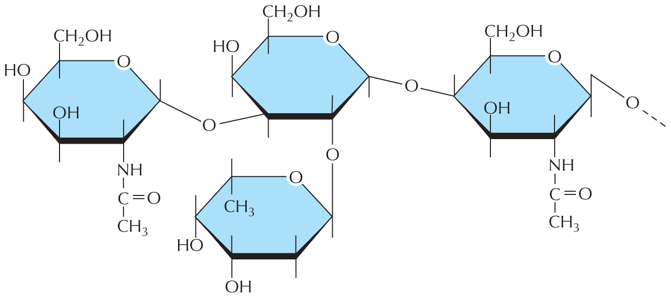 Panel 8 shows complex oligosaccharides.