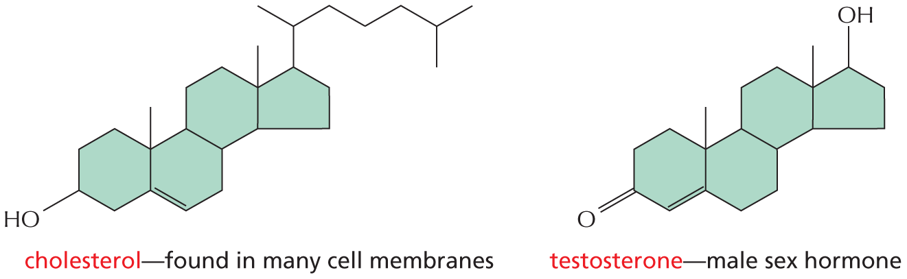 Panel 7 shows steroids.