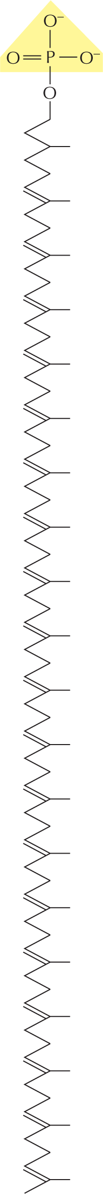 Panel 9 shows polyisoprenoids.