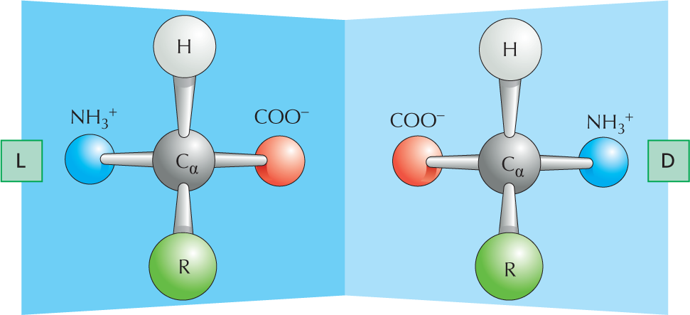 Panel 4 explains optical isomers.