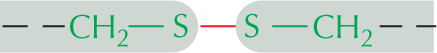 Panel 8 shows the structures of amino acids with uncharged polar side chains.