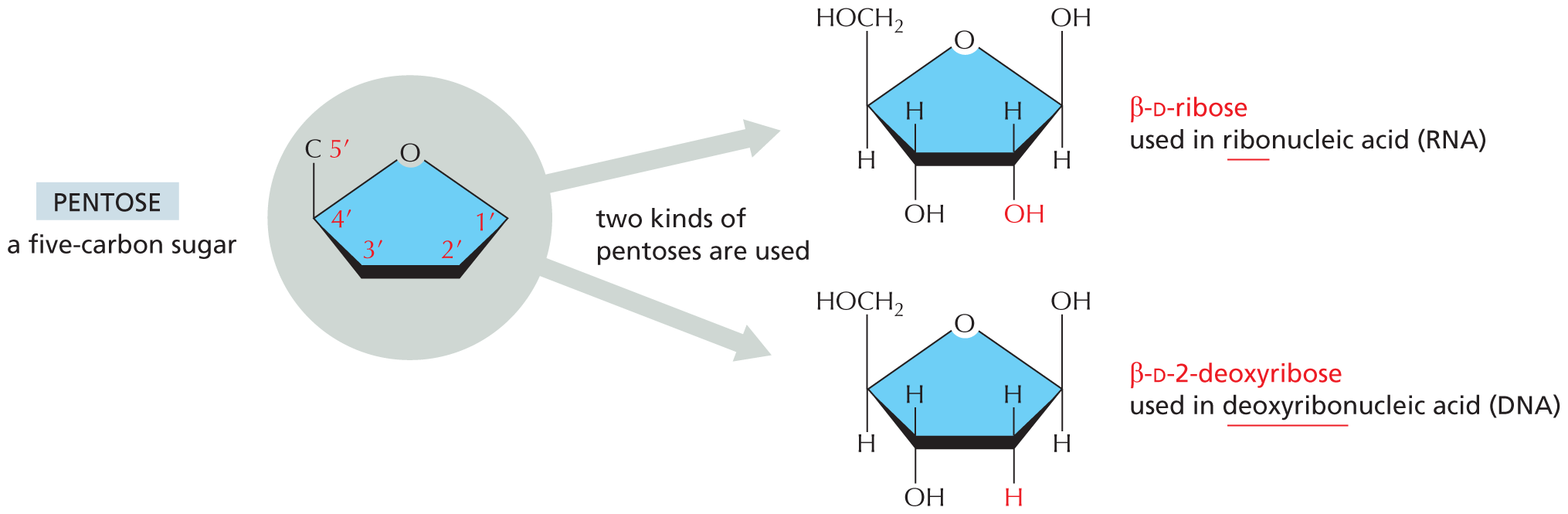 Panel 5 shows sugars.