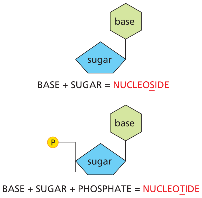 Panel 6 discusses nomenclature.