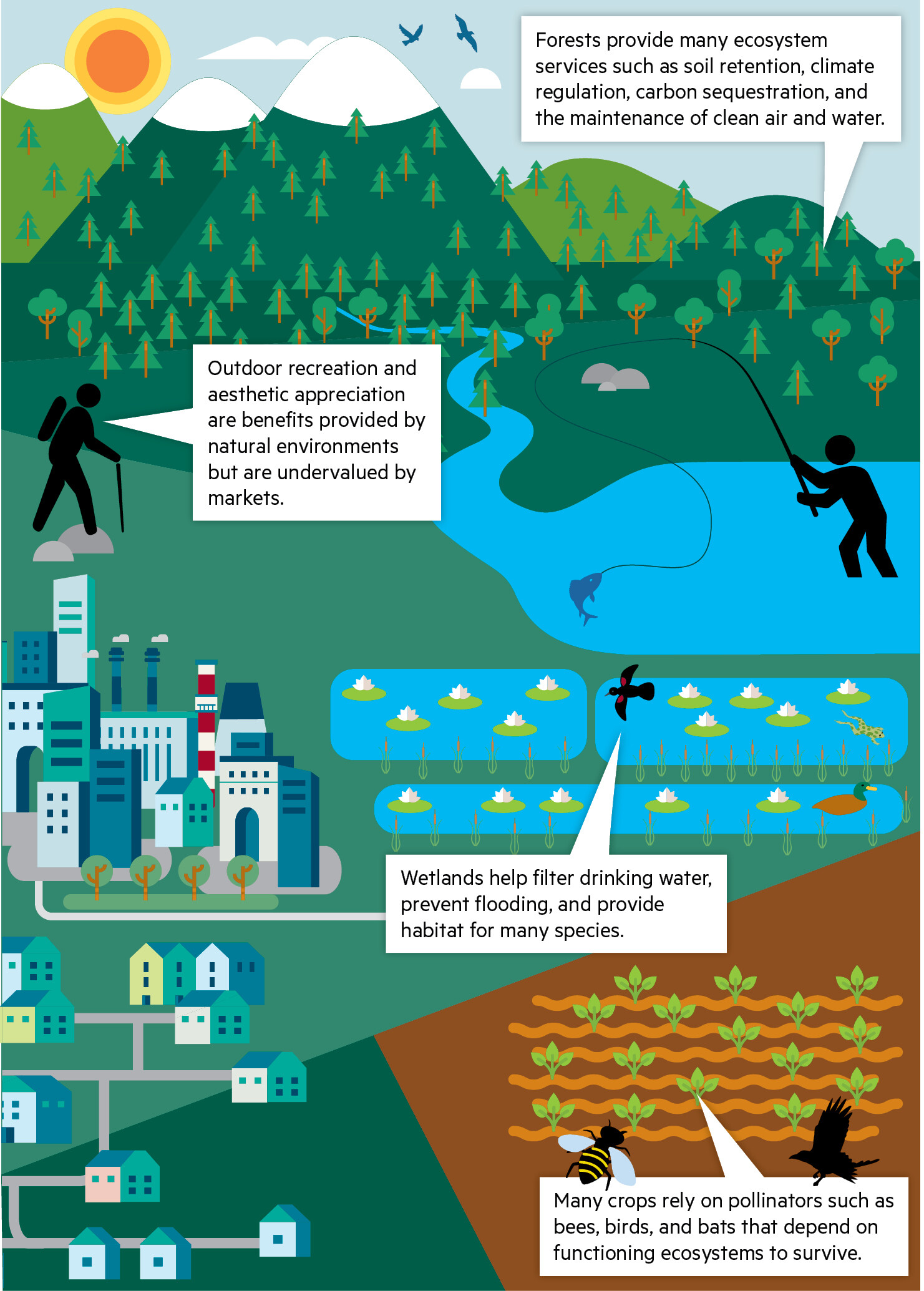 Ecosystem Simplification 2.3: How Can Economics Help Us Understand Environmental Problems?