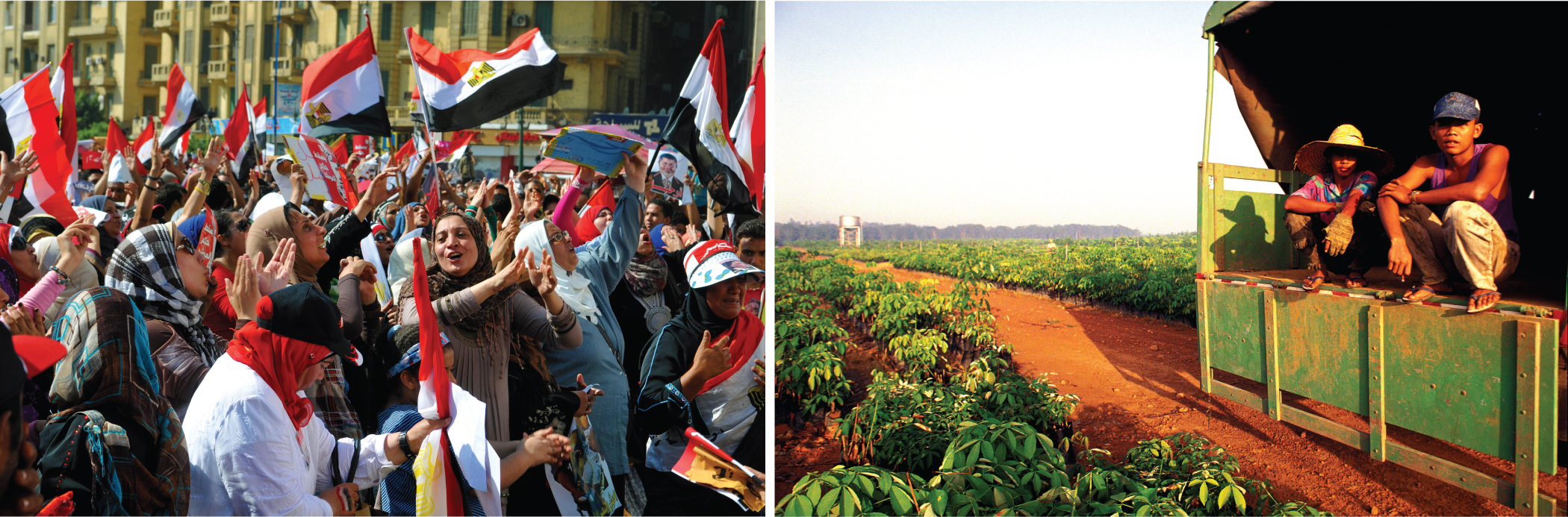 A group of protesters look up and wave Egyptian flags.; Two people in hats sit in the back of a large work truck next to a field of small plants.