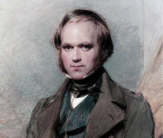 A portrait of Charles Darwin.
