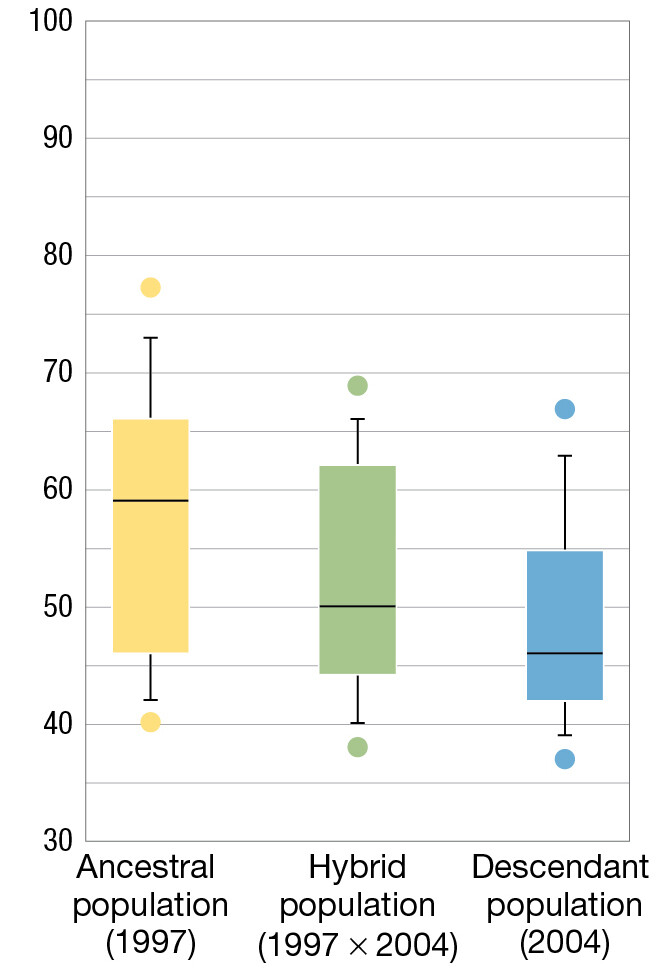A box and whisker plot of number days to first flowering for three different populations of Brassica rapa.