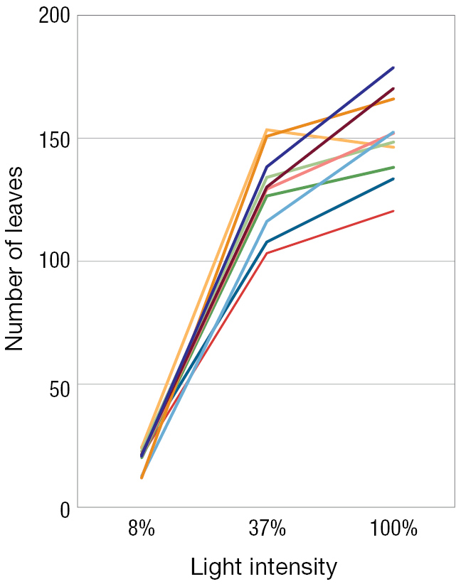 A line graph of light intensity versus number of leaves.